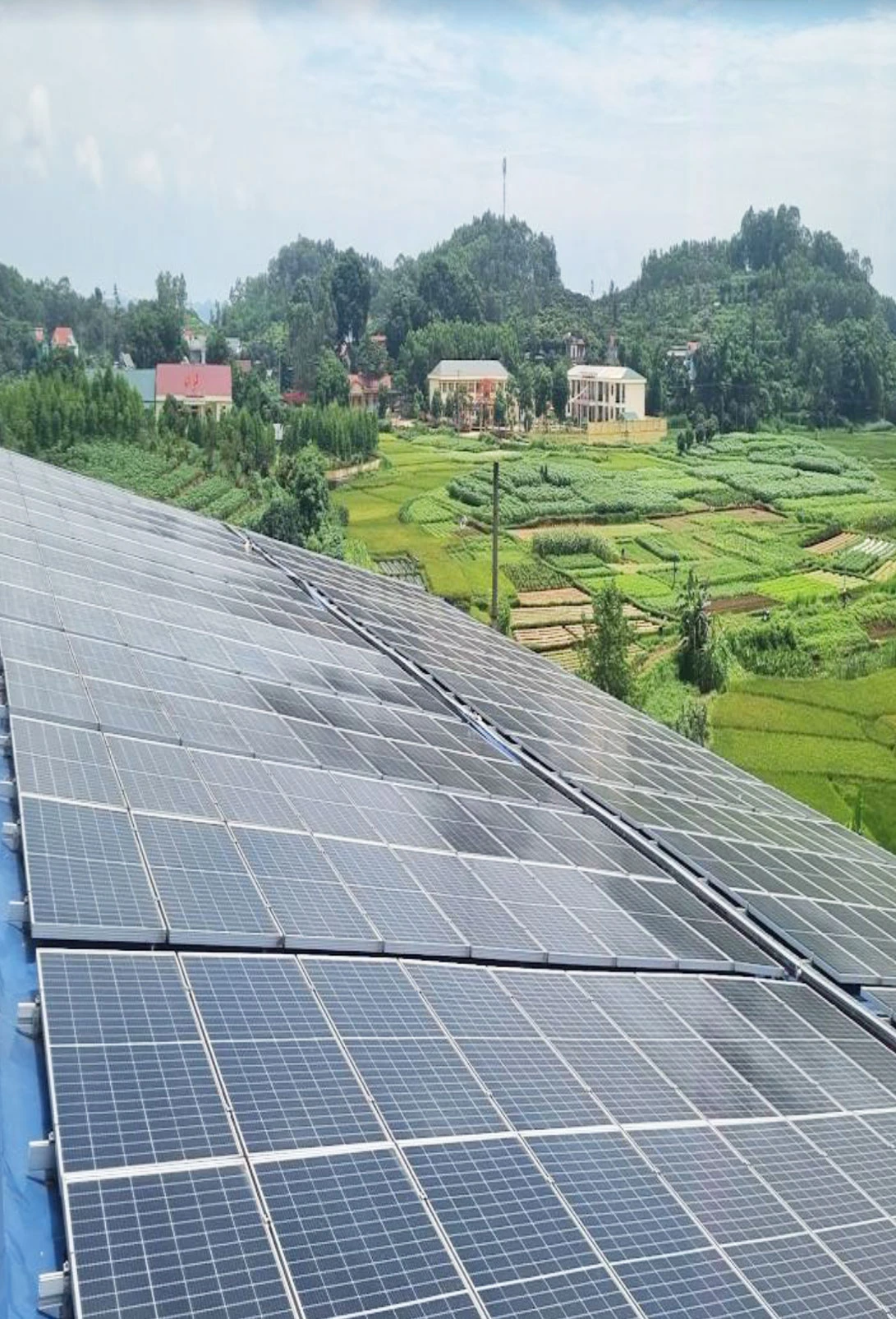 Dự án điện mặt trời áp mái công ty cổ phần TMDV & Thực phẩm Minh Đức